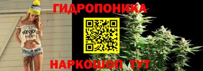 молекула духа Апрелевка