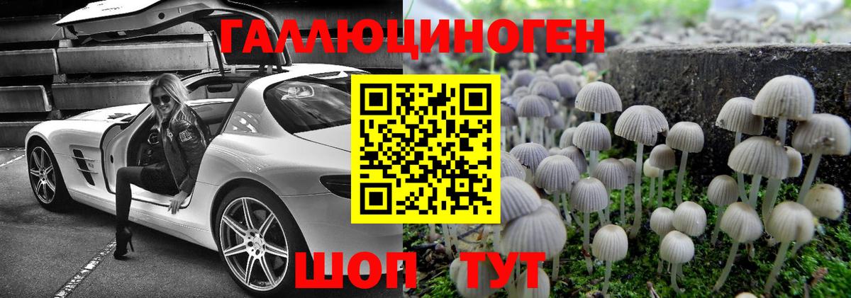 Бугульма  Галлюциногенные грибы GOLDEN TEACHER  Вход с VPN 