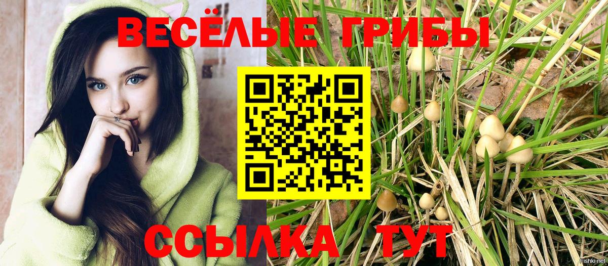 Галлюциногенные грибы мухоморы Бугульма